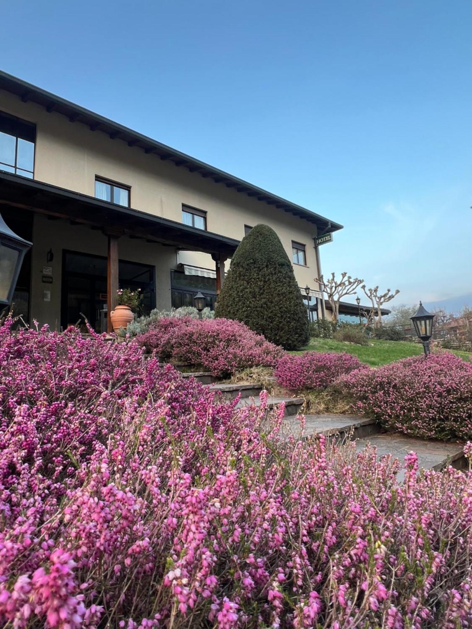 Hotel Merloni Grandola ed Uniti Εξωτερικό φωτογραφία